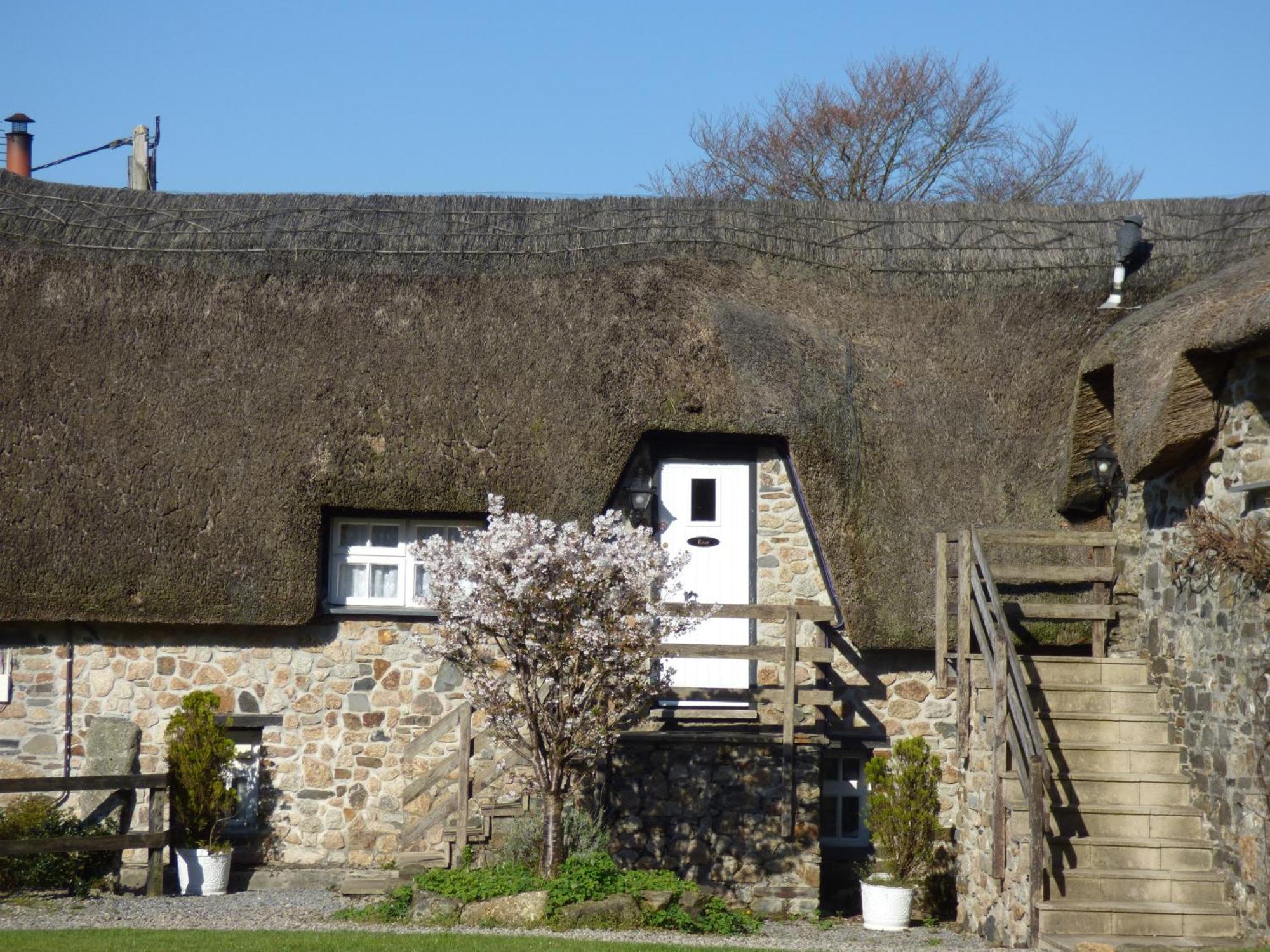 Bearslake Inn Bridestowe المظهر الخارجي الصورة